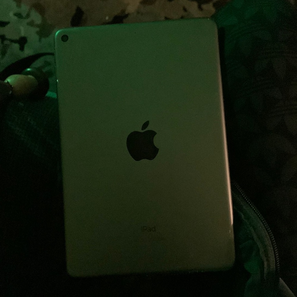 iPad mini model A2133 2008 7th gen space gray 256gb